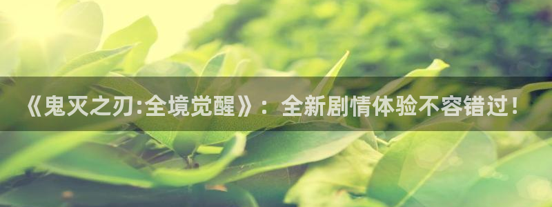 动漫天堂下载：《鬼灭之刃:全境觉醒》：全新剧情体验不容错过！