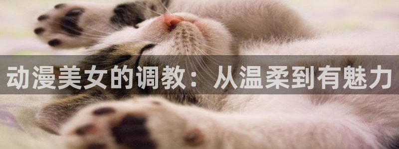 动漫天堂：动漫美女的调教：从温柔到有魅力