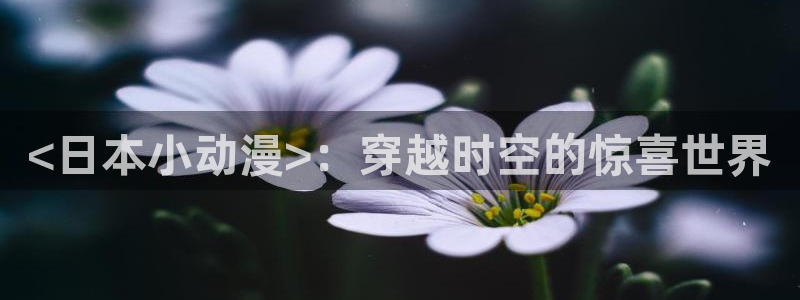 动漫天堂官网：<日本小动漫>：穿越时空的惊喜世界