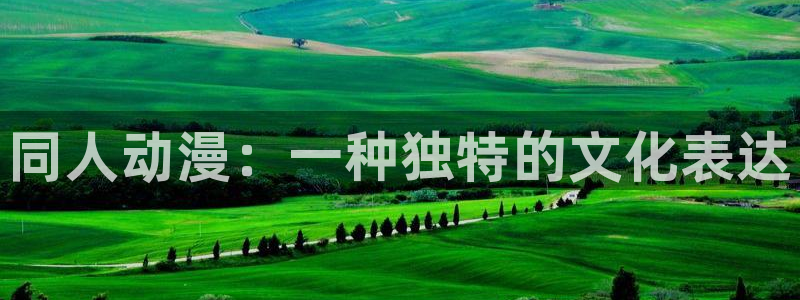 动漫天堂：同人动漫：一种独特的文化表达