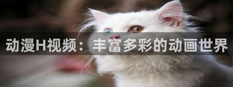3d动漫天堂：动漫H视频：丰富多彩的动画世界