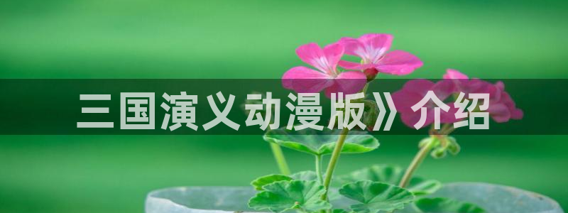 动漫天堂下载最新版：三国演义动漫版》介绍