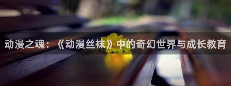 动漫天堂在线免费观看：动漫之魂：《动漫丝袜》中的奇幻世界与成长教育