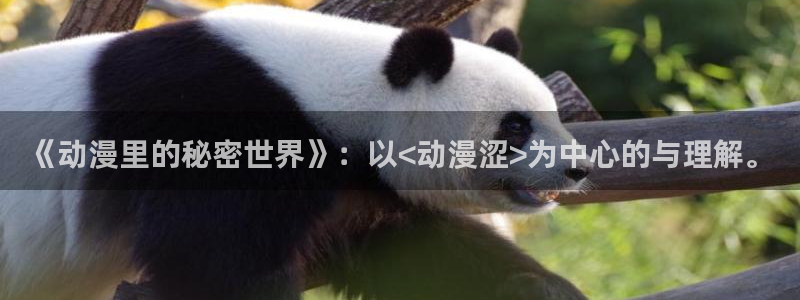 动漫天堂下载正版：《动漫里的秘密世界》：以<动漫涩>为中心的与理解。